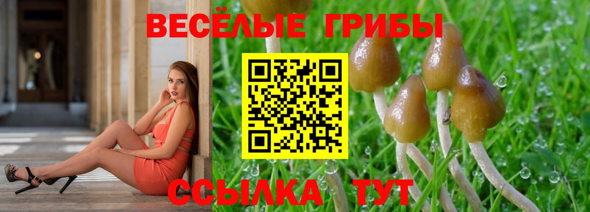 закладки  Псилоцибиновые грибы мицелий  Вход с VPN  Советская Гавань  Псилоцибиновые грибы Magic Shrooms 